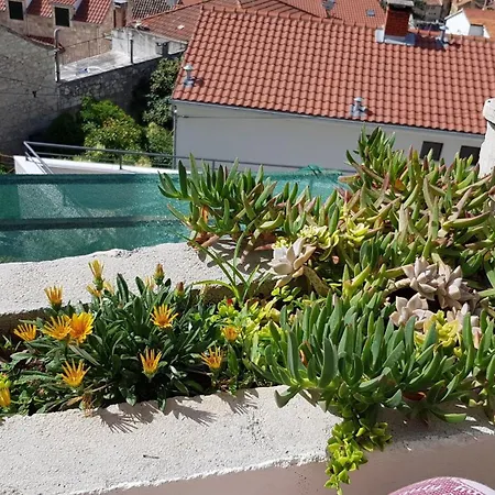 Gasthuis Bocin Rosso